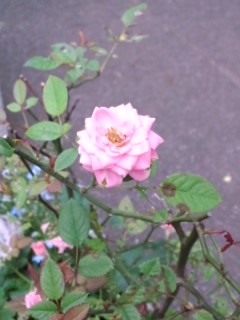 �������Вn�ցB