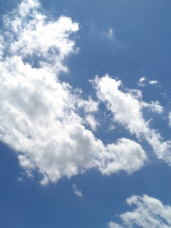 SHOCK�~�c���������B